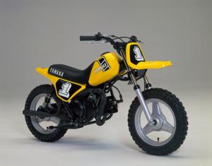 Yamaha PW50